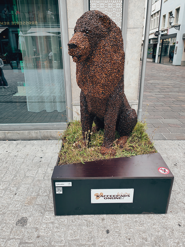 Unser Löwe verlässt uns und ist ab sofort in der Winterthurer Altstadt zu bewundern